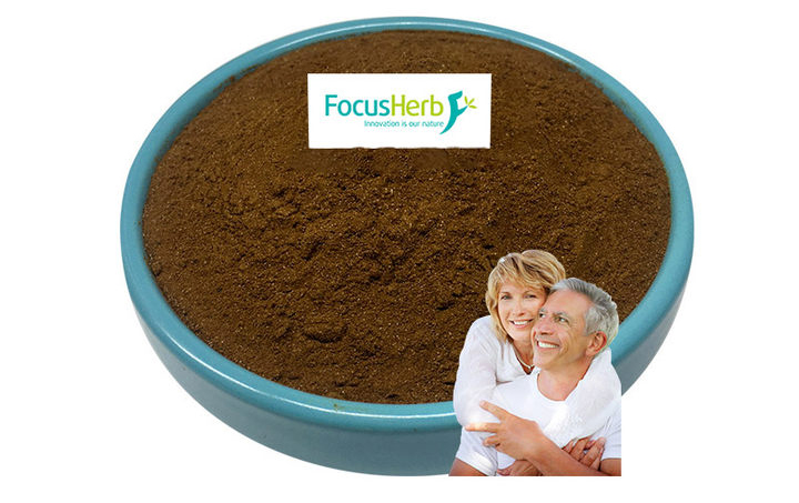 Can You Take Reishi Every Day