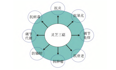 Pharmacological effects on the immune system