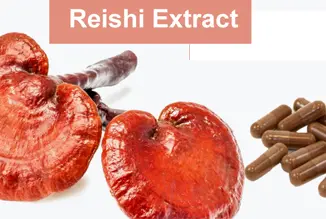 The Health Benefits of Reishi Mushroom Extract