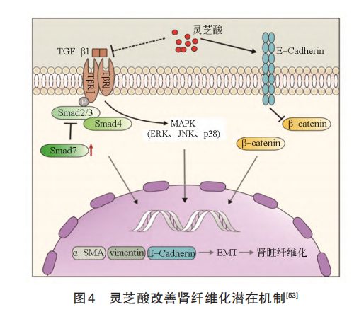 Relieve chemotherapy fatigue