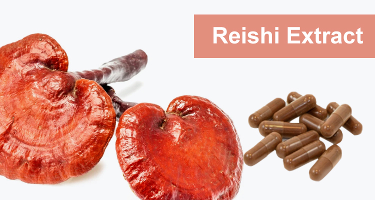 The Health Benefits of Reishi