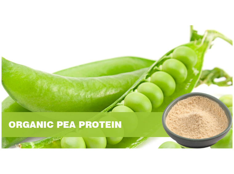 Organic Pea Protein Powder