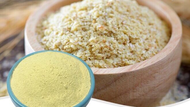 Could Spermidine Replace the Anti-Aging Benefits of Daily Exercise?