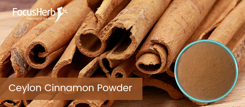 Ceylon Cinnamon Powder