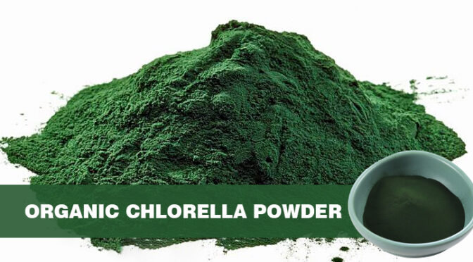 Organic Chlorella Powder – The Most Complete Nutritional Plant Ever!