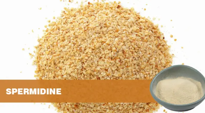 The Rise of Natural Substances — Spermidine