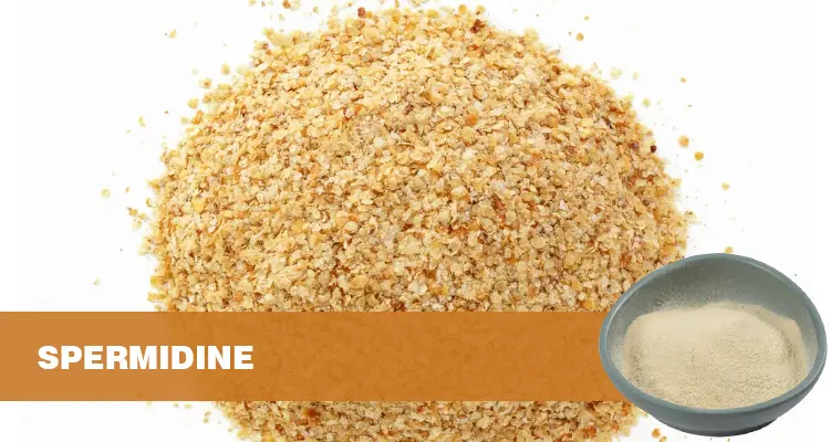 Discovery and Naming of Spermidine