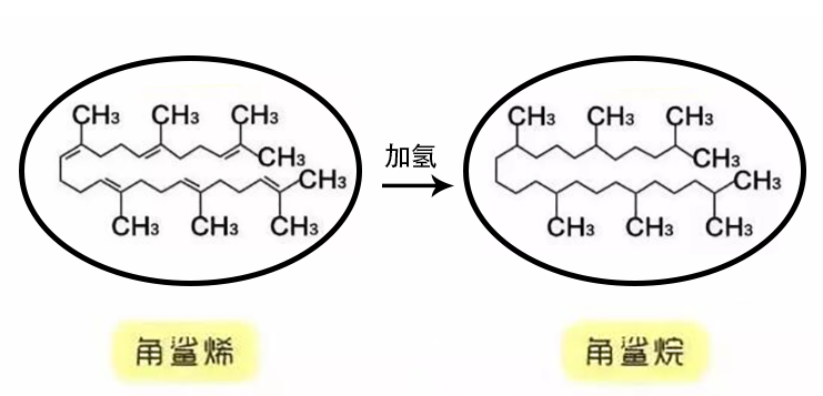 How to Choose Squalane Skincare Products