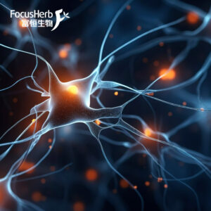 L-Ergothioneine as a Powerful Natural Antioxidant