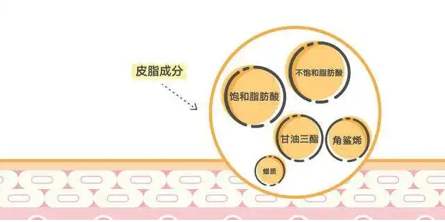 Squalane Safety and Potential Risks