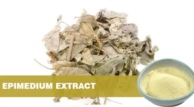 Icariin: An In-Depth Exploration of its Benefits, Uses, and Safety