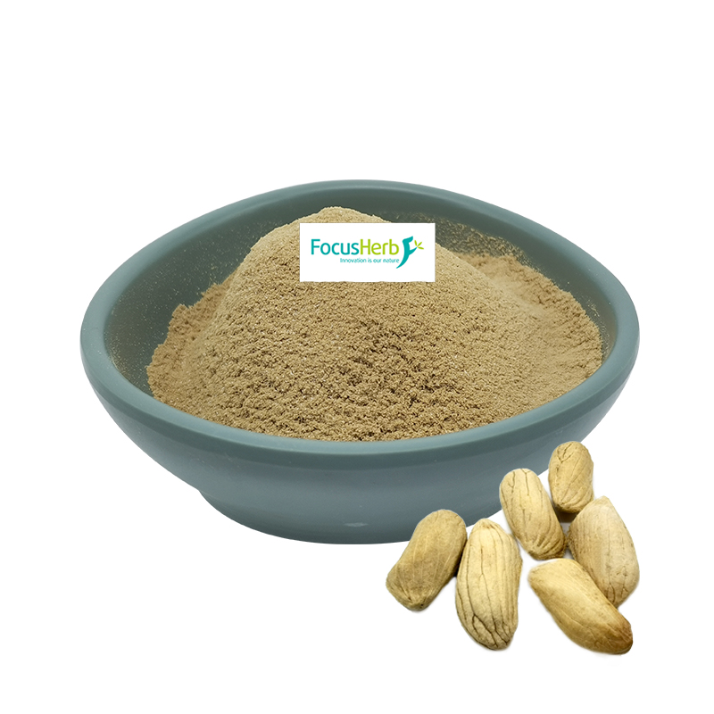 Overview of the Source