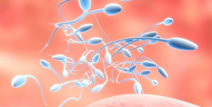 Regulation of Reproductive and Urinary System Functions