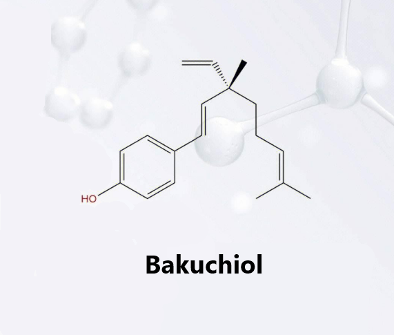 Exploration of Extraction Techniques