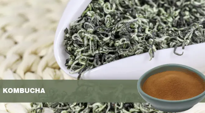 Kombucha: From Ancient Chinese Legend to a Global Health Trend