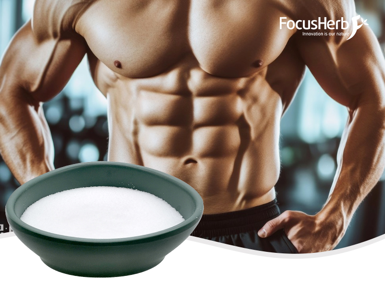 creatine monohydrate powder