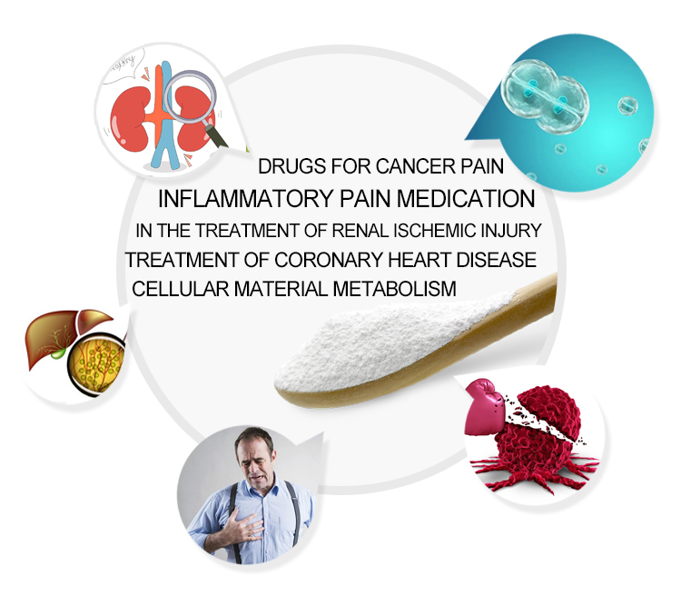 Expanding Applications of NAD