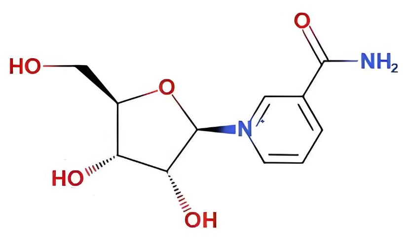 Market size and growth trends