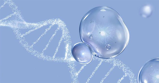 Multiple application areas