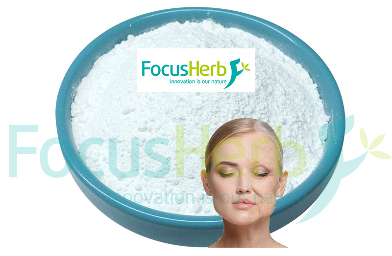 What is Nicotinamide Riboside Powder?