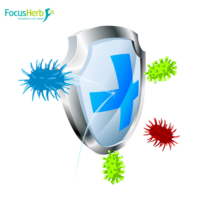 The Superpowers of NAD