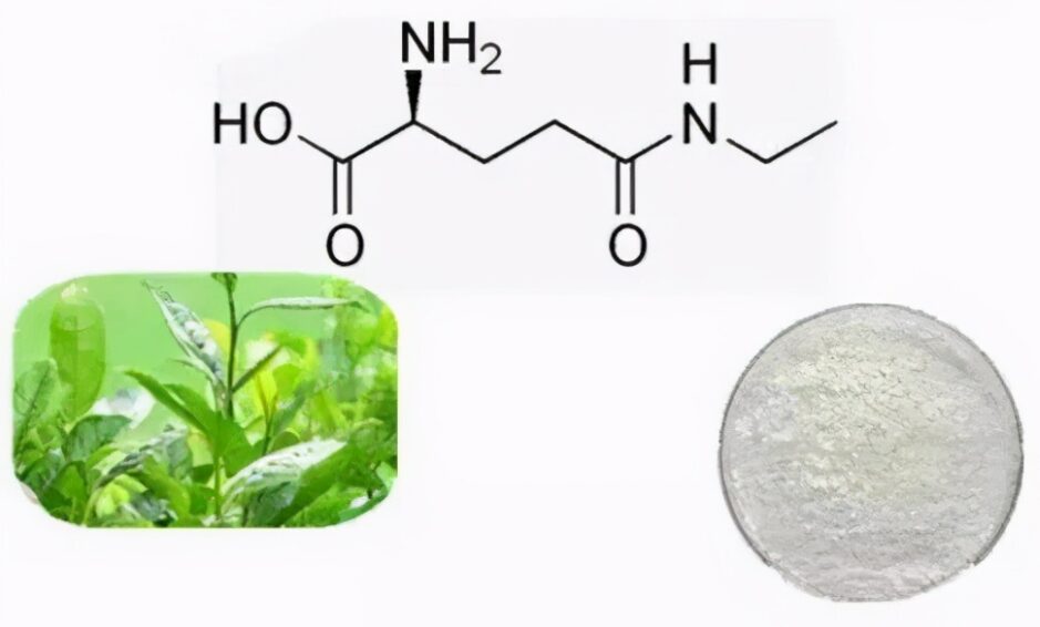 Characteristics of Theanine