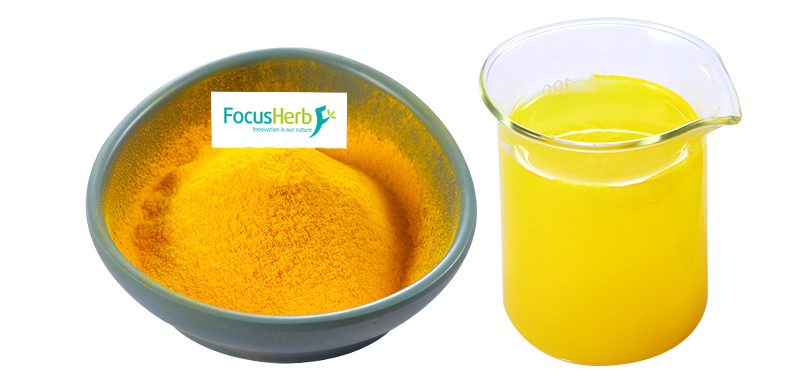 A Magical Molecule in Nature Curcumin