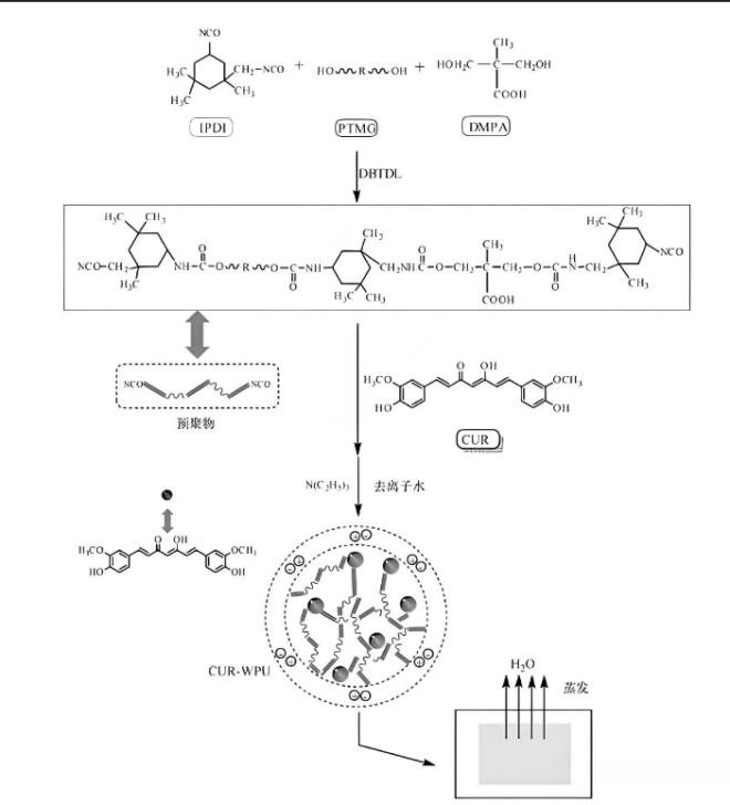 Anti-cancer Potential​