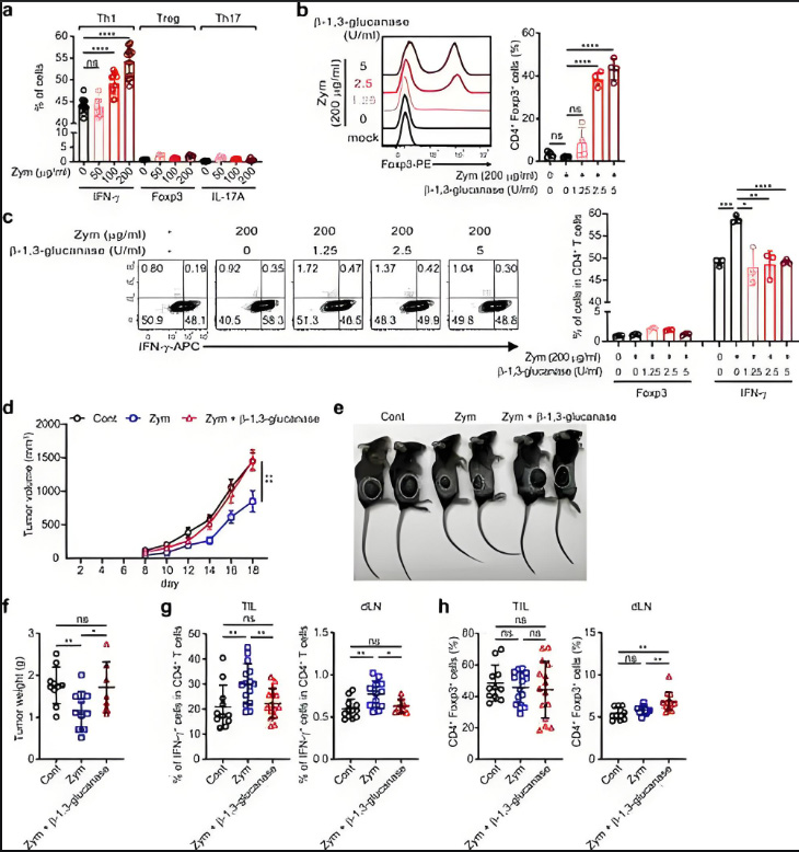 Extraction Technology Revealed