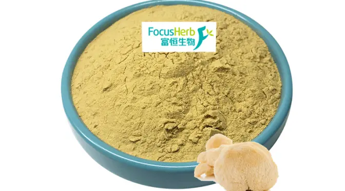 Lion Mane Extract: Boosting Brain Health with Beta-Glucan