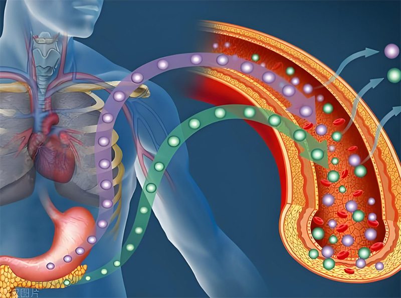 Market Application and Prospects