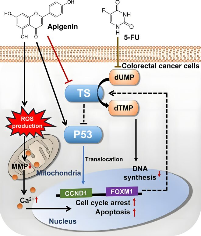 Shining Applications in Multiple Fields