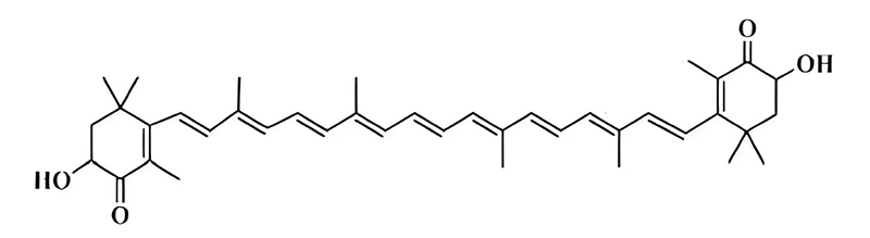 The Future of Astaxanthin​