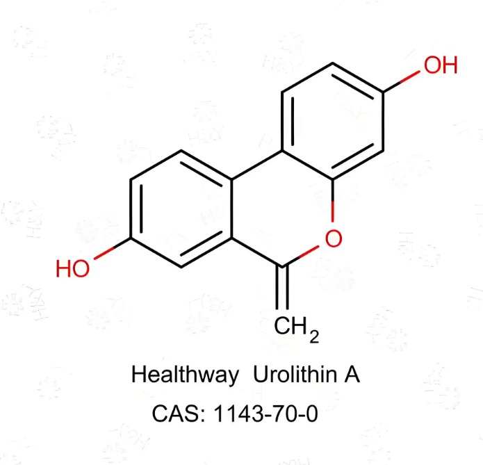 The “killer” of inflammation​