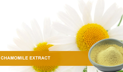Apigenin: From Plant Spirit to Health Guardian