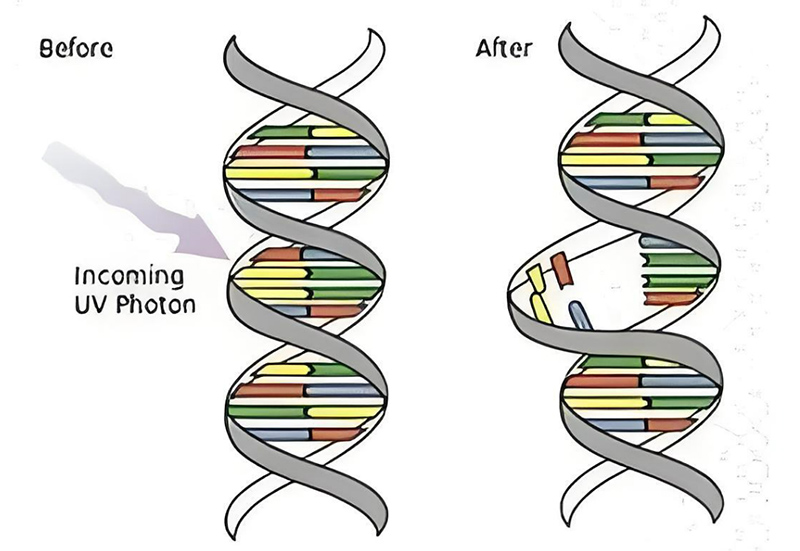 strengthen the health defense line