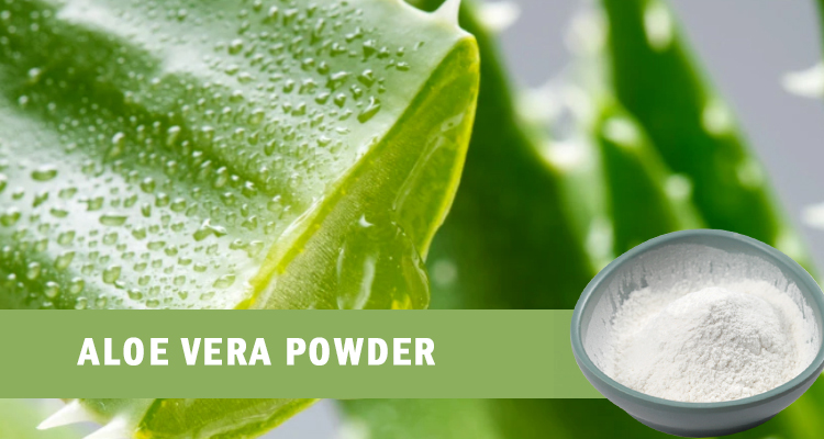 Aloe Powder