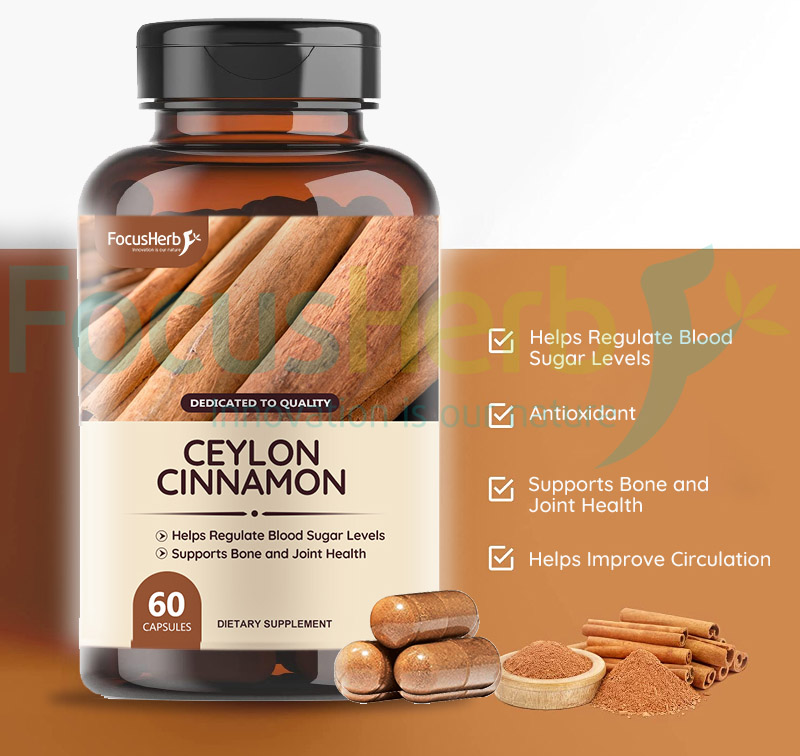 Main Components of Cinnamon