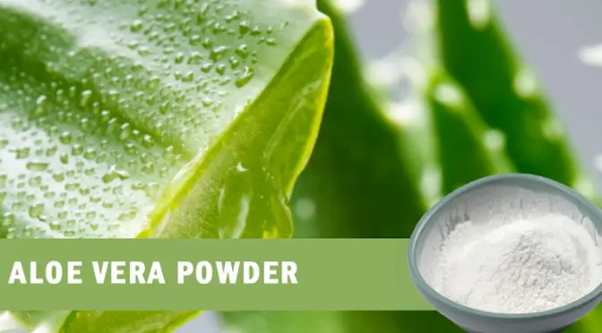 The Science Behind Aloe Powder: Nutrients & Healing Properties