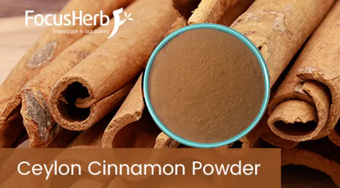 The Unexpected Power of Cinnamon Extract