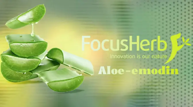 Aloe-emodin: Nature’s Hidden Anthraquinone with Powerful Potential
