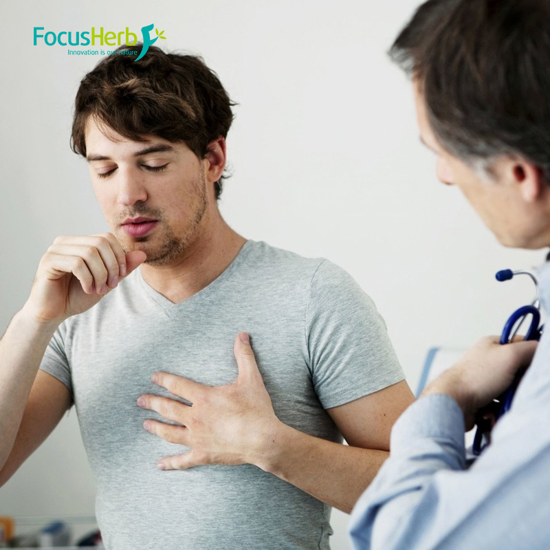 Application areas of Echinacea polyphenols