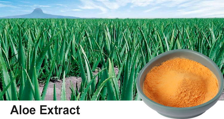 Extraction and Preparation Methods