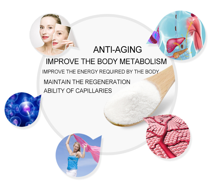 NMN Has Broad Application Prospects