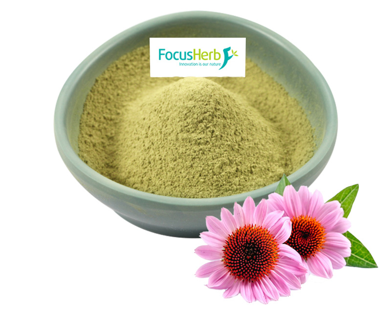 Research status and challenges