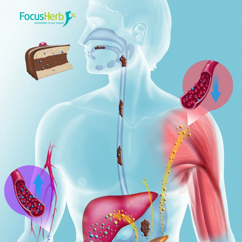 Scientific View and Rational Choice