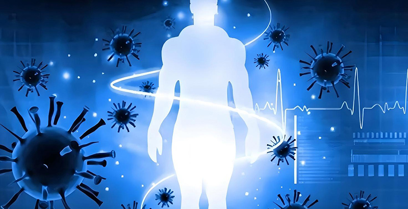 The magical effects of Echinacea polyphenols