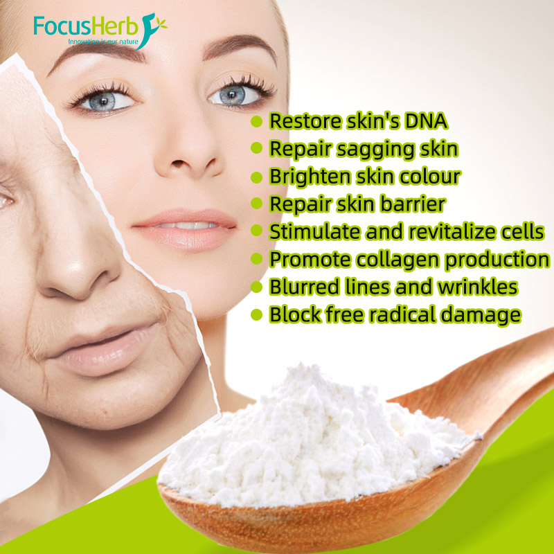 Things to Note When Using