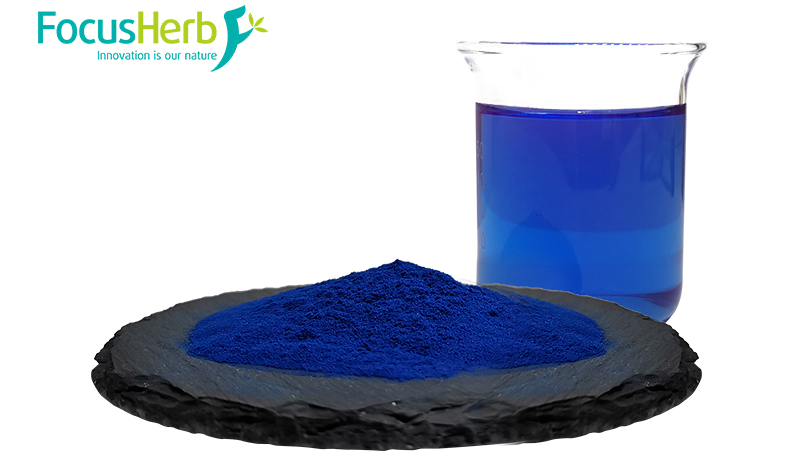 Extraction and Preparation of Phycocyanin