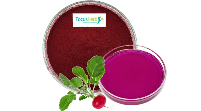 The Beauty of Carrot Red: Exploring the Natural Pigment